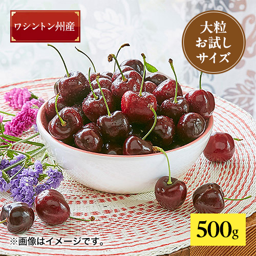 ★お試しサイズ★特選ダークチェリー（大粒）500g【受注締め切り日：2026/7/2】