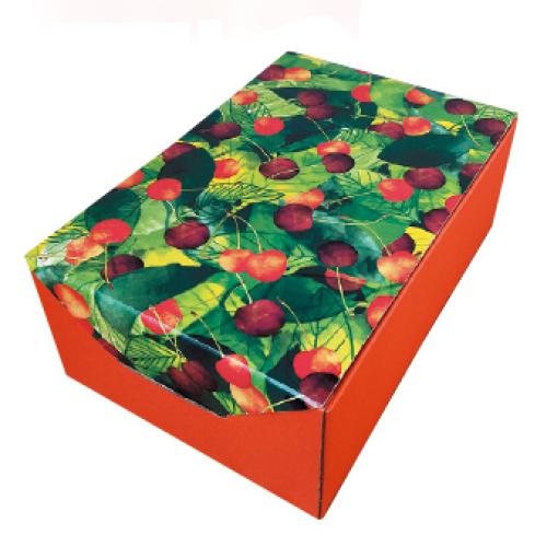 ★お試しサイズ★特選レイニアチェリー（大粒）500g【受注締め切り日：2026/6/25】