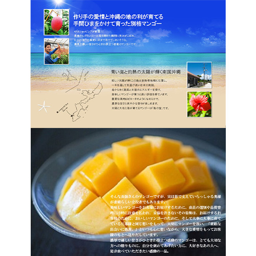 沖縄県Noha畑「林檎マンゴー」秀品2kg（4～6玉）【受注締め切り日：2026/7/10】