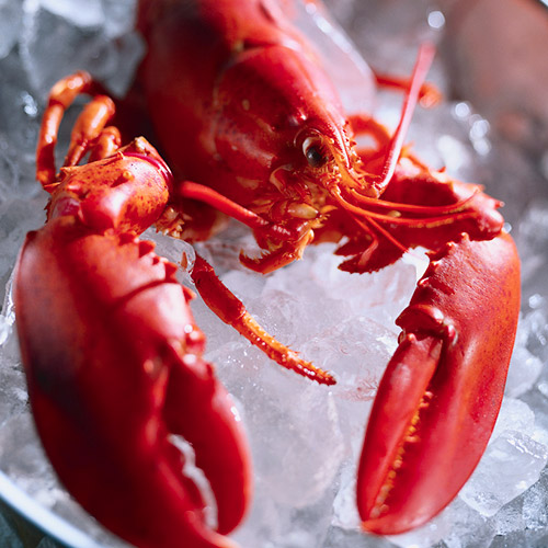 オマールロブスター