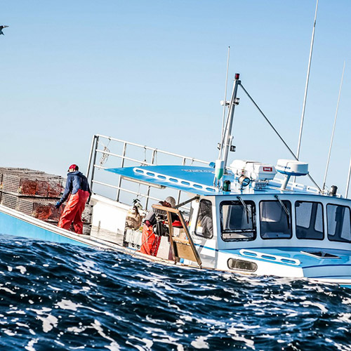 オマールロブスター