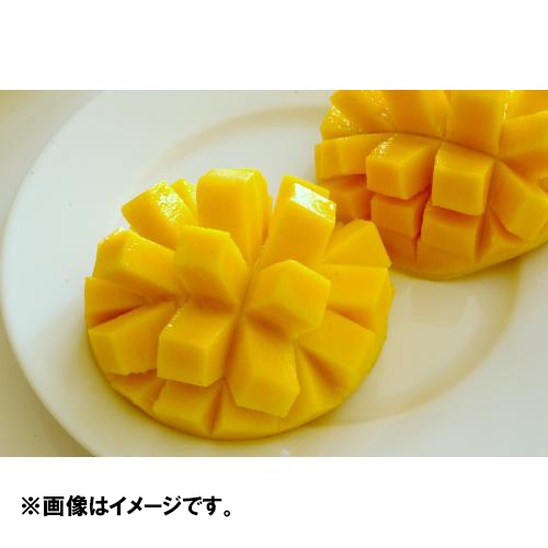 【送料込】＜沖縄県産＞訳あり家庭用マンゴー2kg【受注締め切り日：2026/8/25】