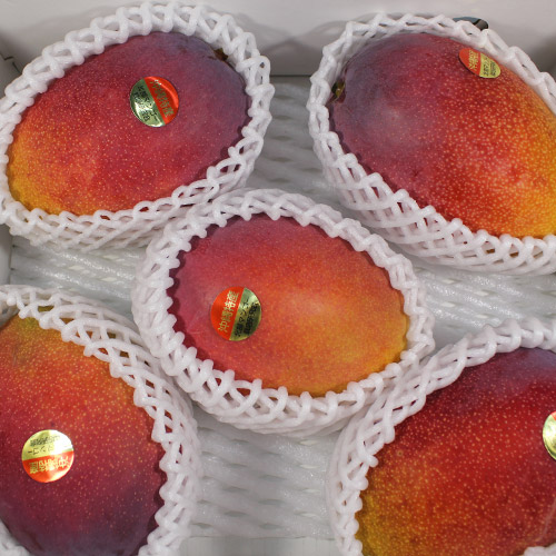 【送料込】＜沖縄県産＞訳あり家庭用マンゴー2kg【受注締め切り日：2026/8/25】