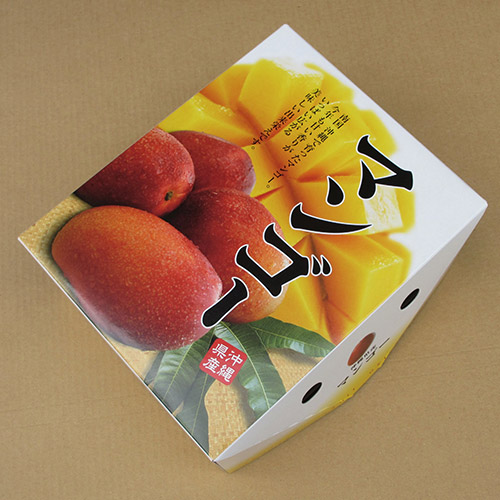 【送料込】＜沖縄県産＞訳あり家庭用マンゴー2kg【受注締め切り日：2026/8/25】