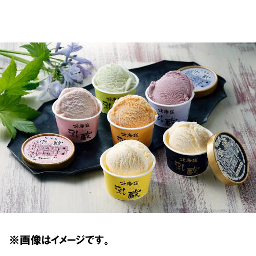 乳蔵 アイスクリーム 6種 10個