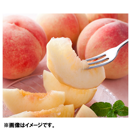 山梨・福島・長野・山形産 旬の桃 1.5kg（5～6玉）【受注締め切り日：2026/7/31】