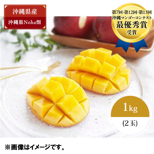 沖縄県Noha畑「林檎マンゴー」秀品1kg（2玉）【受注締め切り日：2026/7/10】