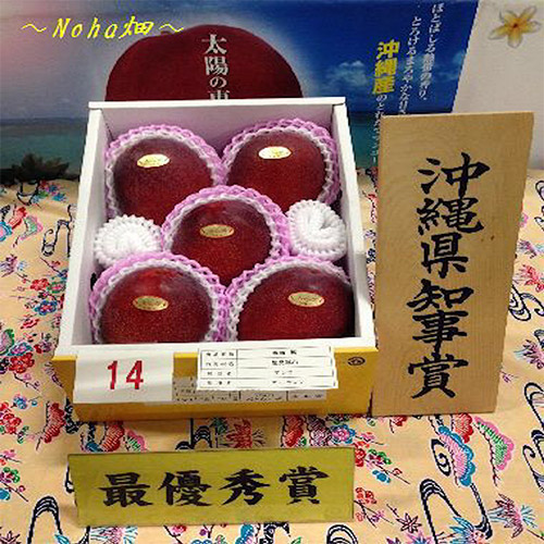 沖縄県Noha畑「林檎マンゴー」秀品1kg（2玉）【受注締め切り日：2026/7/10】