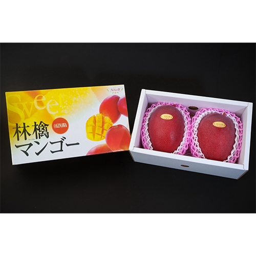 沖縄県Noha畑「林檎マンゴー」秀品1kg（2玉）【受注締め切り日：2026/7/10】