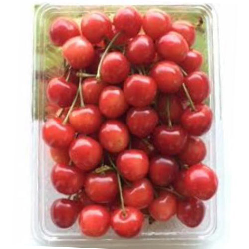 【送料込】【★お試しにもぴったりサイズ！！★】＜山形県産＞佐藤錦M玉（バラ詰）500g【受注締め切り日：2026/6/23】