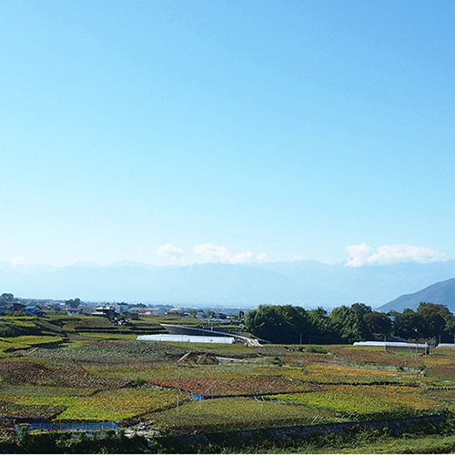 ＜勝沼醸造＞アルガ・ブランカ・イセハラ【2024】（白ワイン）