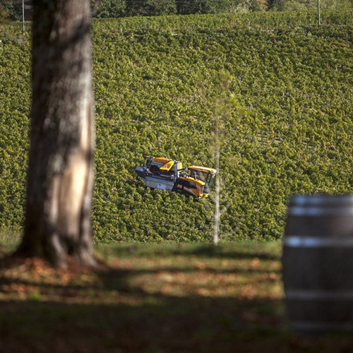 ＜シャトー・ド・ピトレイ＞シャトー・カスティジャン【2018】（赤ワイン）