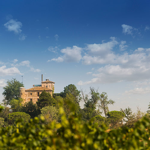 ＜ライマット＞ヴォルダニマ・デ・ライマット・ブランコ・オーガニック【2022】（白ワイン）