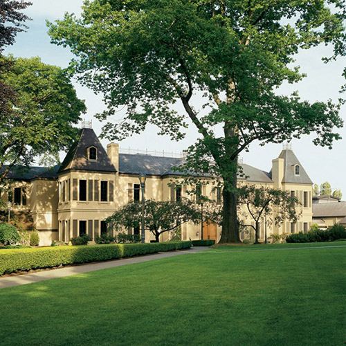 ＜シャトー・サン・ミッシェル＞シャルドネ・ミミ【2017】（白ワイン）