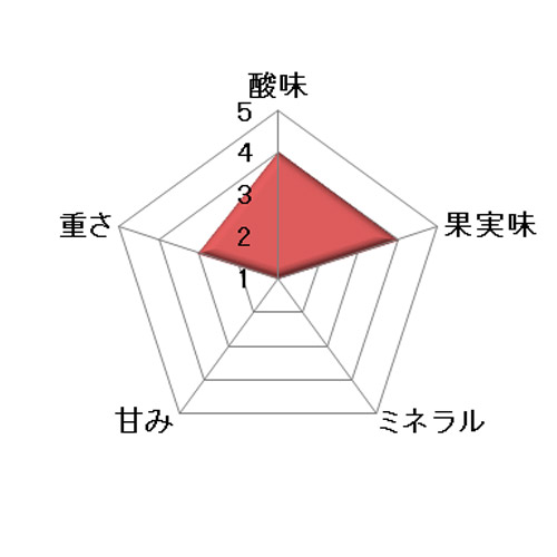 ＜ステラ・ベラ＞スカットルバット・ソーヴィニヨン・ブラン・セミヨン【2024】（白ワイン）