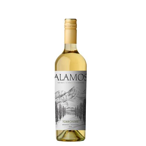 【送料当社負担】★数量限定ワインプラス1本★＜カテナ＞アルゼンチンの果実味豊かな泡白4本セット