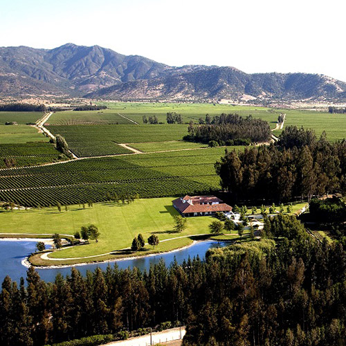 【送料当社負担】ロス・ヴァスコス飲み比べ3本セット