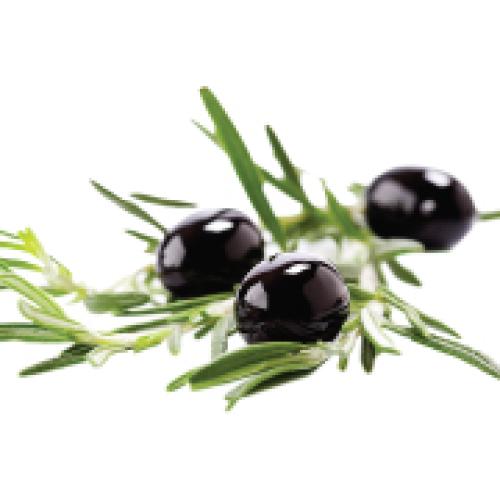 ＜ニールズヤード レメディーズ＞アロマティック ボディローション 200ml