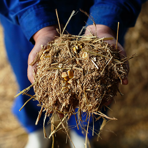 【農場HACCP認証】蔵王和牛ロースすき焼き　特製割り下セット