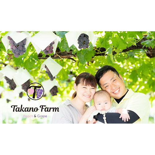 エアリーフルーツ 3種ギフトセット