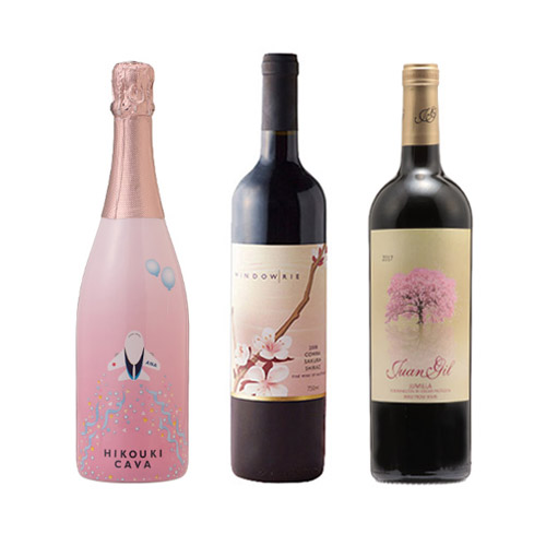 【送料当社負担】ハレ空カヴァと春ワインの3本セット