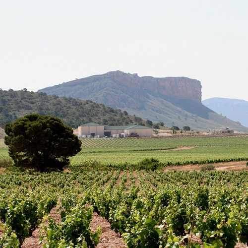 【送料当社負担】ハレ空カヴァと春ワインの3本セット