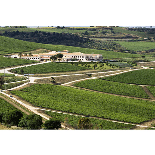 鮮やかなシチリア陶器模様がデザインされた、赤白ロゼワイン4本セット