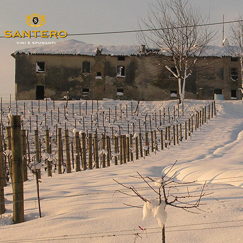 【送料当社負担】本間チョースケセレクト！プロセッコ入り！イタリアスパークリングワイン6本セット