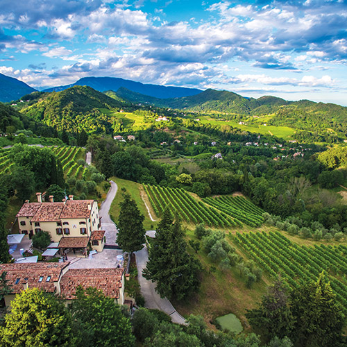 【送料当社負担】本間チョースケセレクト！プロセッコ入り！イタリアスパークリングワイン6本セット