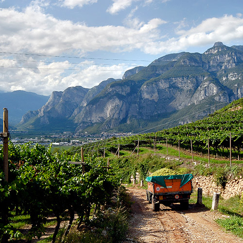 【送料当社負担】本間チョースケセレクト！プロセッコ入り！イタリアスパークリングワイン6本セット