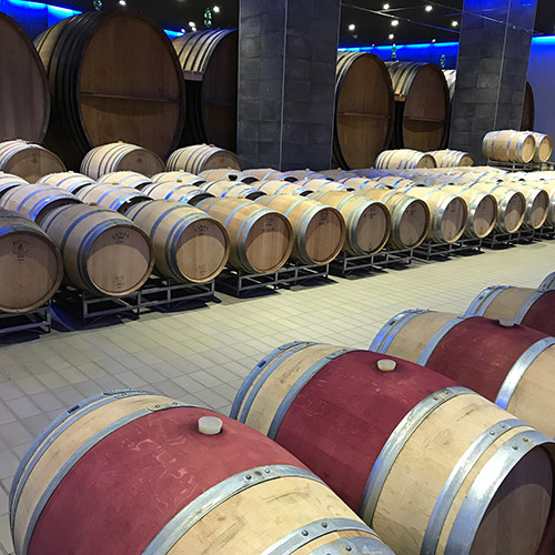 【送料当社負担】本間チョースケセレクト！プロセッコ入り！イタリアスパークリングワイン6本セット