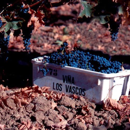 【送料当社負担】ロス・ヴァスコス堪能4本セット