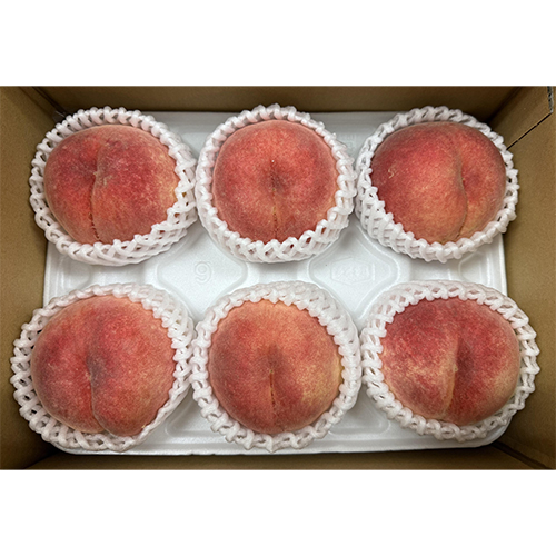 ＜山梨県産＞御坂の桃6玉【受注締め切り日：2026/6/20】