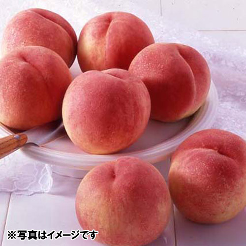 ＜和歌山県産＞桃1.3kg（5～7玉）【受注締め切り日：2026/7/15】