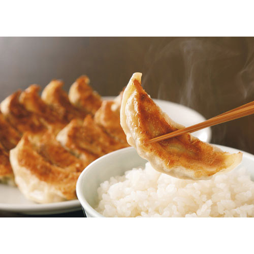 ＜信念フーズ＞肉餃子・野菜餃子詰合せ（48個入り）