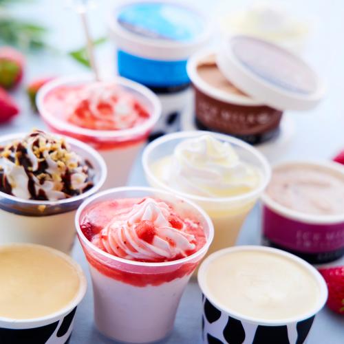 十勝アイスバラエティー