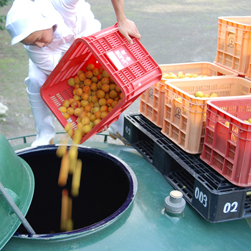 ＜濱田＞梅酒HAMADA Red&White 2本セット