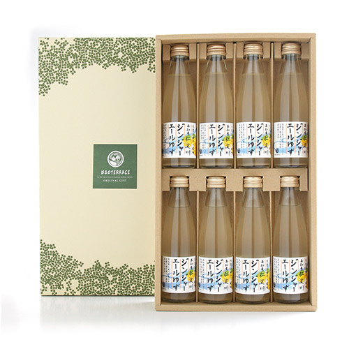 仁淀川ジンジャーエールゆず8本セット