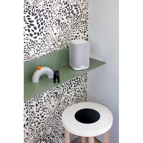 ＜DENON＞Amazon Music HD／Alexa対応  高音質ネットワークスピーカー