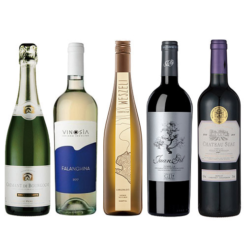 【送料当社負担】星付き高級レストラン採用！バラエティワイン5本セット