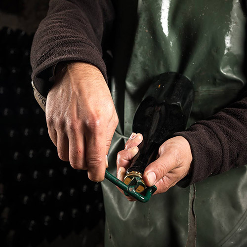 【送料当社負担】星付き高級レストラン採用！バラエティワイン5本セット