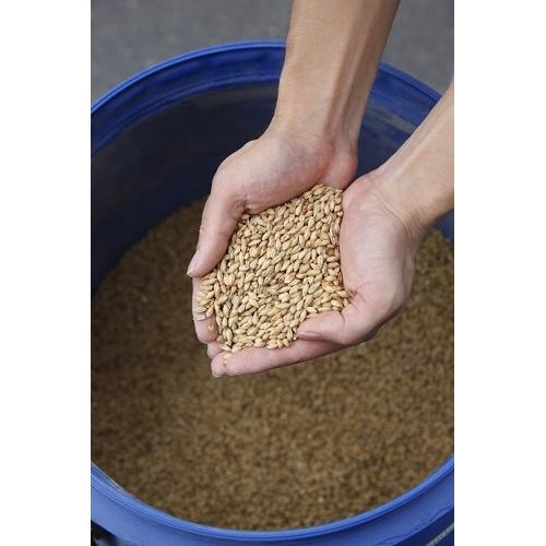 ＜常陸野ネストビール＞だいだいエール入　8本セット