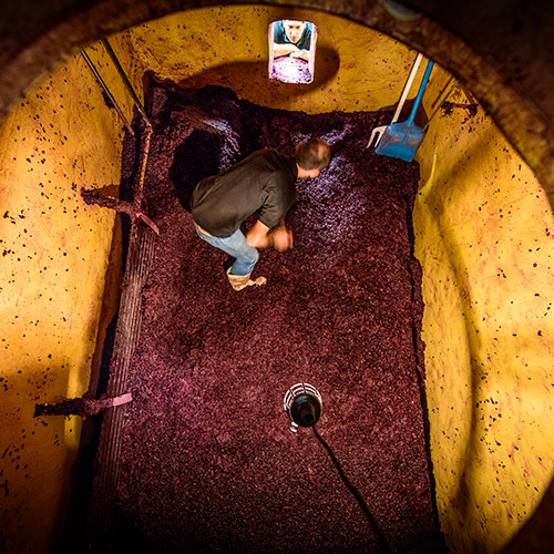 ＜ピエール・アマデュー＞レ・オット・リーヴ【2017】（赤ワイン)