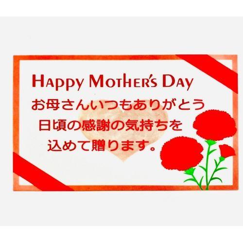 【母の日】北海道十勝プレミアムプリン【受注締め切り日：2026/5/1】