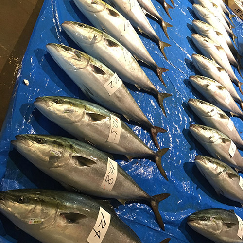 ＜鈴香食品＞鰤西京漬/塩糀セット（2種×3切）