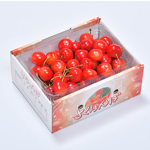 ＜長野県産＞さくらんぼ 特秀500g【受注締め切り日：2026/6/15】