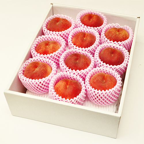 ＜福島県産＞白桃あかつき2.5kg（7～10玉）【受注締め切り日：2026/7/24】