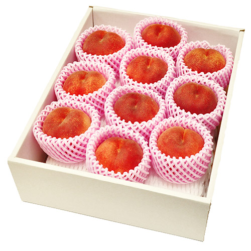 ＜福島県産＞白桃まどか2.5kg（7～10玉）【受注締め切り日：2026/7/25】