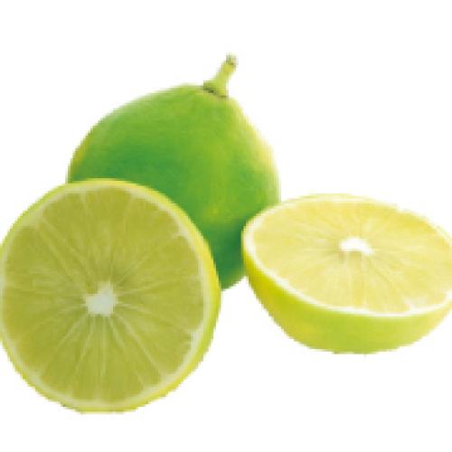 ＜ニールズヤード レメディーズ＞リードフレグランスディフューザーバランシング