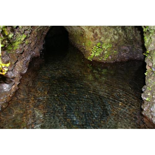 ＜澤乃井＞東京蔵人